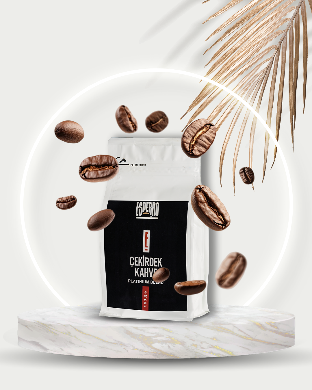 Platinium Çekirdek Kahve 500g